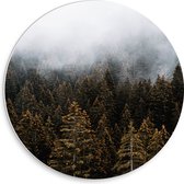 WallClassics - Cercle mural en panneau de mousse PVC - Brouillard au-dessus de la cime des arbres - Photo 30x30 cm sur cercle mural (avec système de suspension)