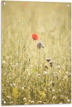 WallClassics - Tuinposter – Rood Bloempje tussen Grassen - 60x80 cm Foto op Tuinposter  (wanddecoratie voor buiten en binnen)