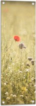 WallClassics - Tuinposter – Rood Bloempje tussen Grassen - 30x90 cm Foto op Tuinposter  (wanddecoratie voor buiten en binnen)