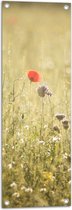 WallClassics - Poster de jardin - Fleur rouge entre graminées - 30x90 cm Photo sur Poster de jardin (décoration murale pour extérieur et intérieur)
