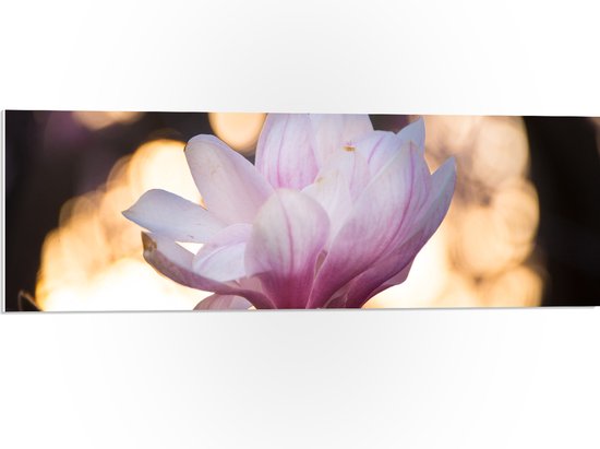 WallClassics - PVC Schuimplaat - Zijaanzicht van Roze Bloem met Lampjes - 90x30 cm Foto op PVC Schuimplaat (Met Ophangsysteem)