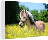 Canvas Schilderij Paard - Bloemen - Geel - 60x40 cm - Wanddecoratie