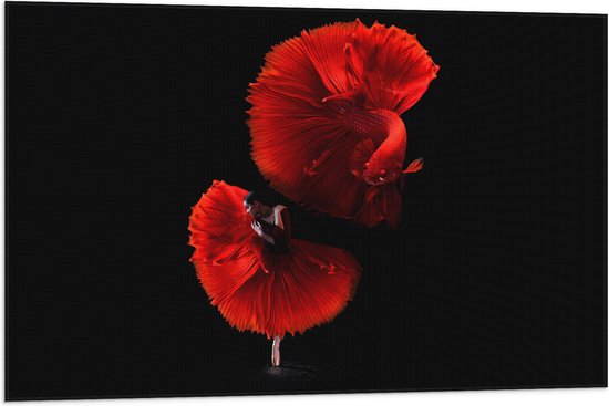 WallClassics - Vlag - Danser met Rode Jurk en Vis - 90x60 cm Foto op Polyester Vlag