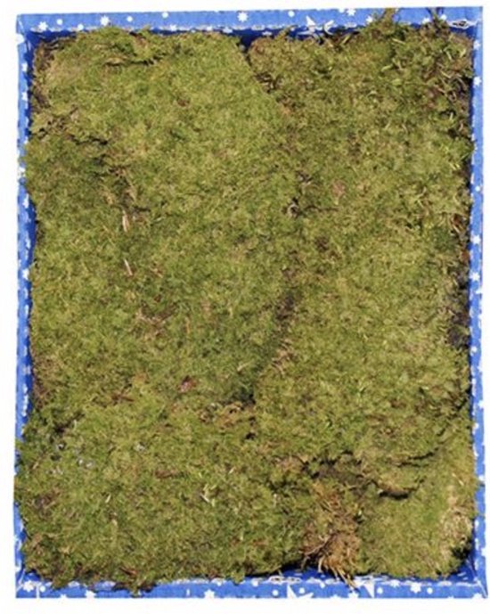 Kerststal Mos plat 425 gr.