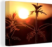 Canvas Schilderij Een prachtig silhouet van een brandnetel bij zonsondergang - 80x60 cm - Wanddecoratie