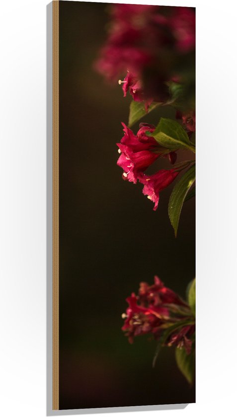 WallClassics - Hout - Roze Bloemen - 40x120 cm - 12 mm dik - Foto op Hout (Met Ophangsysteem)