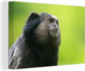 Canvas Schilderij Dieren - Aap - Wild - 90x60 cm - Wanddecoratie