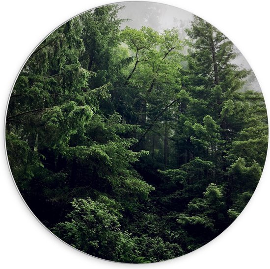 WallClassics - PVC Schuimplaat Muurcirkel - Groene Bomen - 70x70 cm Foto op Muurcirkel (met ophangsysteem)