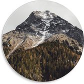 WallClassics - Cercle mural en panneau de mousse PVC - Berg derrière la forêt - Photo 30x30 cm sur cercle mural (avec système d'accrochage)