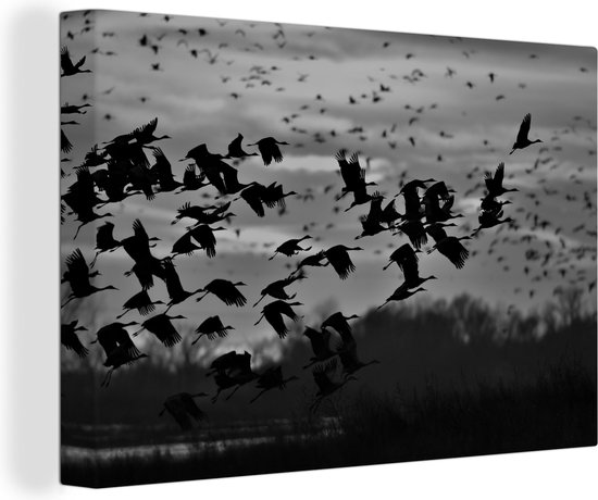 Canvas Schilderij Een groep kraanvogels bij zonsondergang - zwart wit - 60x40 cm - Wanddecoratie