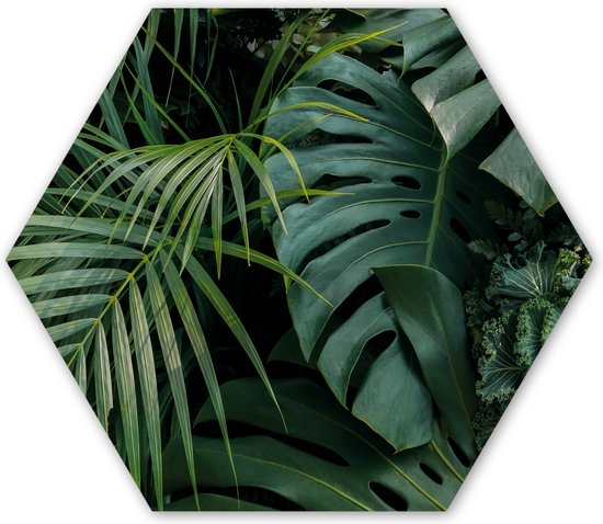 Hexagon wanddecoratie - Kunststof Wanddecoratie - Hexagon Schilderij - Planten - Jungle - Bladeren - Tropisch - 75x65 cm