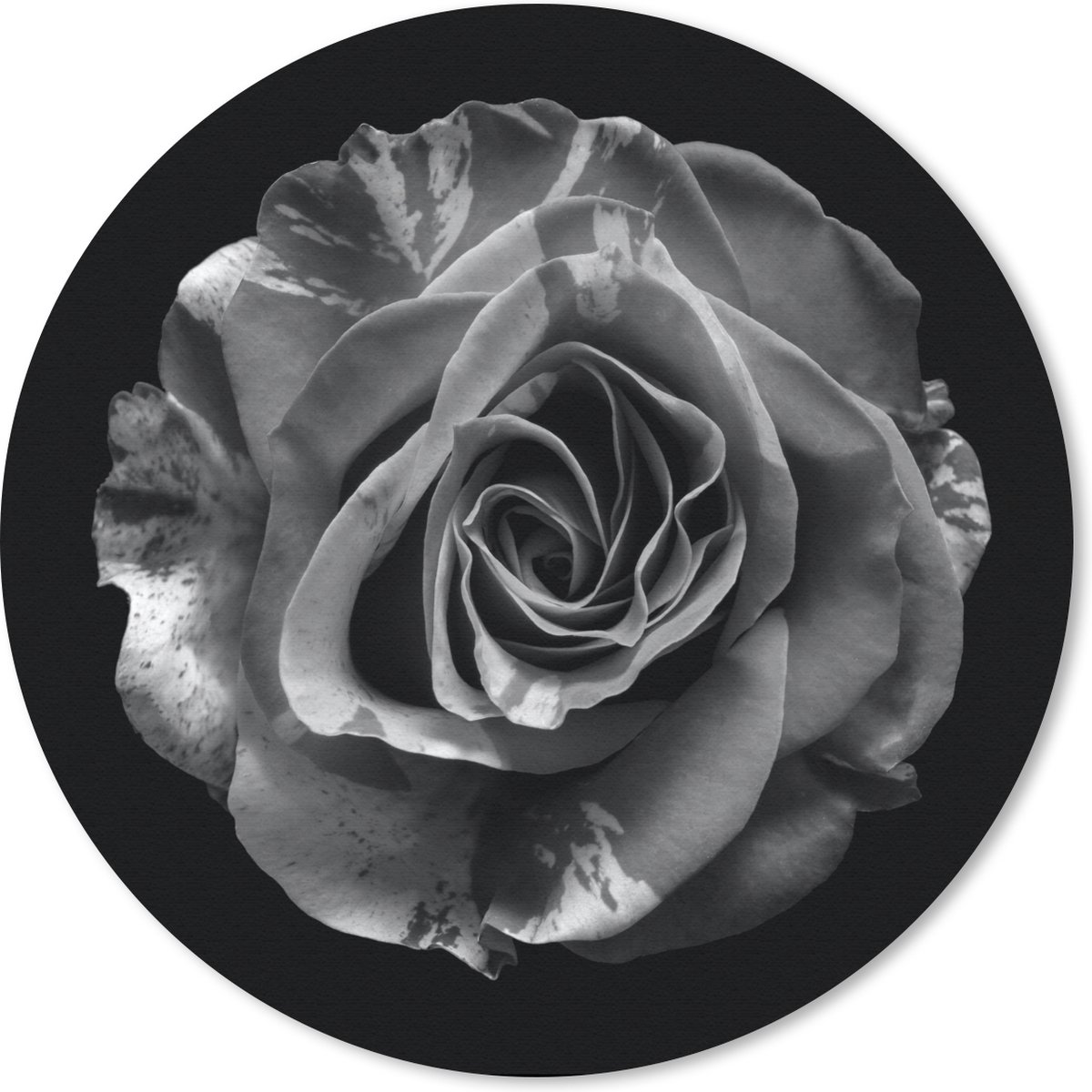 Muismat rond 30x30 cm - Mousepad Bloemen - Roos - Zwart - Wit - Botanisch - Ronde muismatten