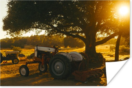 Poster Trekker - Zon - Tractor - Boom - Landschap - 120x80 cm