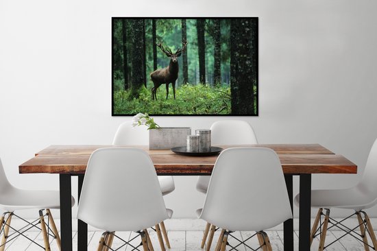 Cadre photo avec affiche - Cerf - Forêt - Arbres - Animaux - Nature - 90x60 cm - Cadre pour affiche