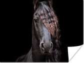 Poster Paarden - Fries - Manen - Zwart - Dieren - 80x60 cm