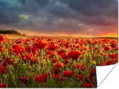 Poster Zonsondergang - Klaprozen - Rood - Bloemen - Veld - Natuur - 40x30 cm
