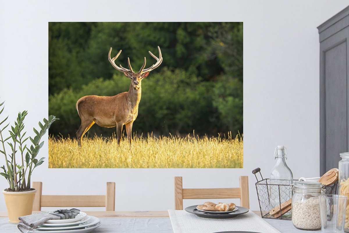 Muurstickers - Sticker Folie - Hert - Gewei - Gras - Natuur - Dieren - Groen - 120x90 cm -