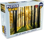 Puzzel Bos - Zon - Bomen - Gras - Landschap - Natuur - Legpuzzel - Puzzel 1000 stukjes volwassenen