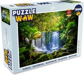 Puzzle Jungle - Cascade - Australie - Plantes - Nature - Puzzle - Puzzle 1000 pièces adultes