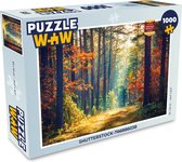 Puzzel Bos - Zon - Natuur - Herfst - Legpuzzel - Puzzel 1000 stukjes volwassenen