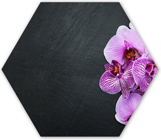 Hexagon wanddecoratie - Kunststof Wanddecoratie - Hexagon Schilderij - Orchidee - Bloemen - Roze - Flora - 120x103 cm