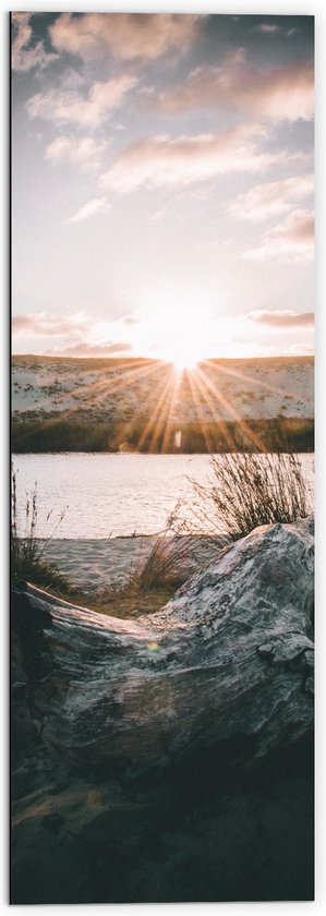 WallClassics - Dibond - Ondergaande Zon aan Duinen - 50x150 cm Foto op Aluminium (Met Ophangsysteem)