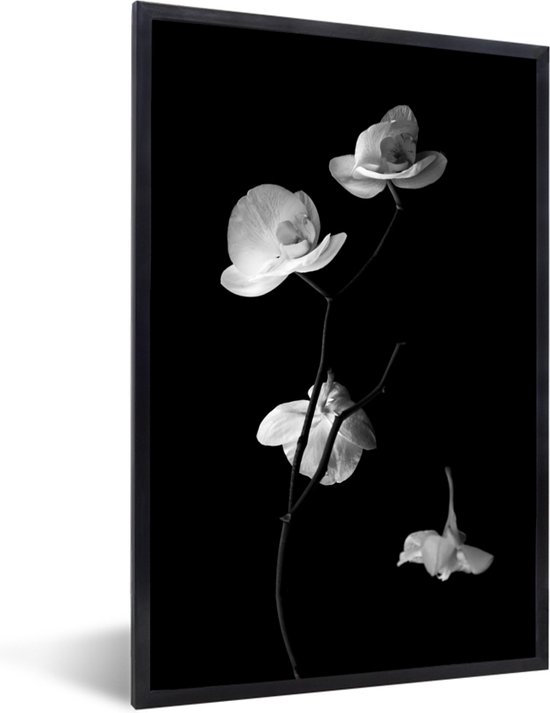 Fotolijst incl. Poster - Orchidee - Bloemen - Zwart - Wit - Stilleven - 40x60 cm - Posterlijst