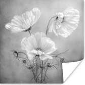 Poster Stilleven - Bloemen - Zwart wit - Klaproos - Botanisch - 30x30 cm