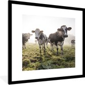 Fotolijst incl. Poster - Koeien - Licht - Gras - Dieren - 40x40 cm - Posterlijst