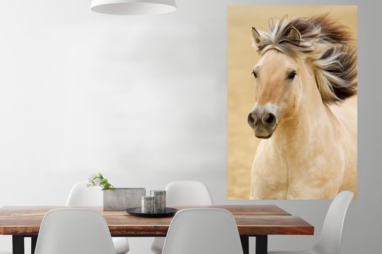 Affiche Cheval - Animal - Crinière - Portrait - 80x120 cm