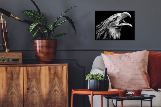 Cadre photo avec affiche - Aigle - Portrait - Oiseaux de proie - Zwart - Wit - Vogel - 40x30 cm - Cadre pour affiche