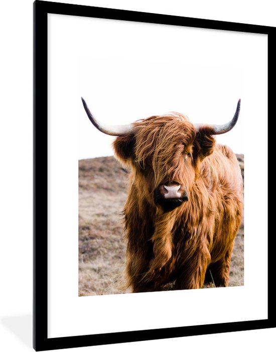 Olieverf schotse hooglander schilderij | Hooglandse pracht: een