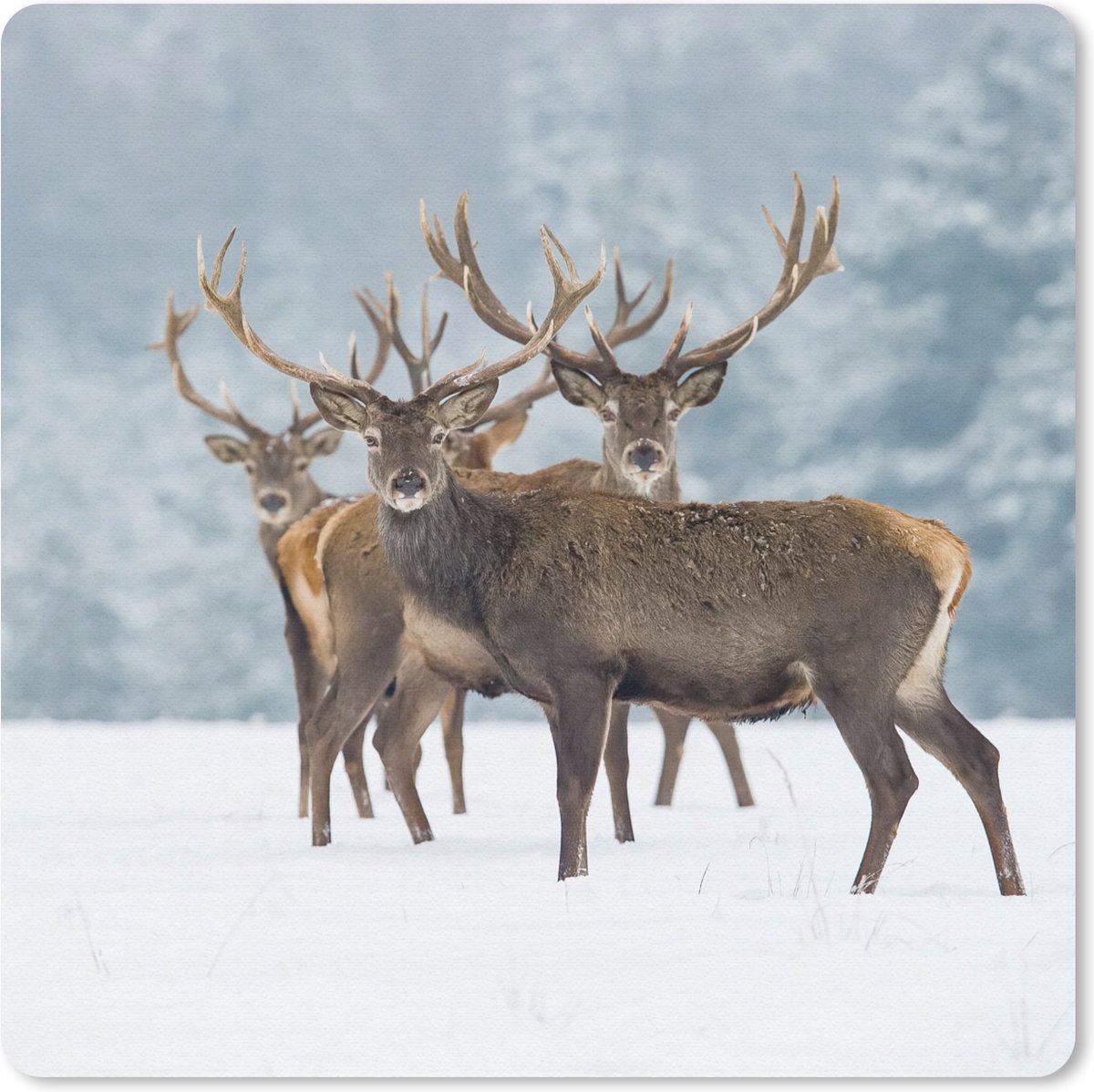 Muismat 20x20 cm - Mousepad Hert - Dieren - Sneeuw - Winter - Landschap - Natuur - Muismatten