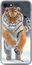 Geschikt voor iPhone 8 hoesje - Tijger - Landschap - Sneeuw - Winter - Dieren - Siliconen Telefoonhoesje