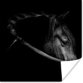 Poster Paarden - Portret - Zwart - Dieren - 75x75 cm