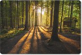 Sous-main 60x40 cm - Tapis de souris Soleil - Arbres - Forêt - Paysage - Nature - Sous-main XL - Protège-sous-main - Tapis de souris Ordinateur