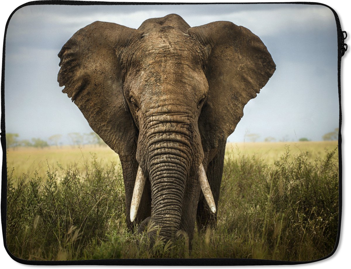 Laptophoes 17 inch - Olifant - Natuur - Gras - Dieren - Landschap - Laptop sleeve - Binnenmaat 41x28 cm - Zwarte achterkant