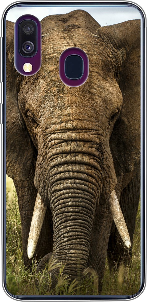 Telefoonhoesje Geschikt voor Samsung Galaxy A40 hoesje - Olifant - Natuur - Gras - Dieren - Landschap - Siliconen Telefoonhoesje Telefoonhoesje