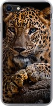 Geschikt voor iPhone 7 hoesje - Wilde dieren - Panter - Portret - Zwart - Dieren - Siliconen Telefoonhoesje