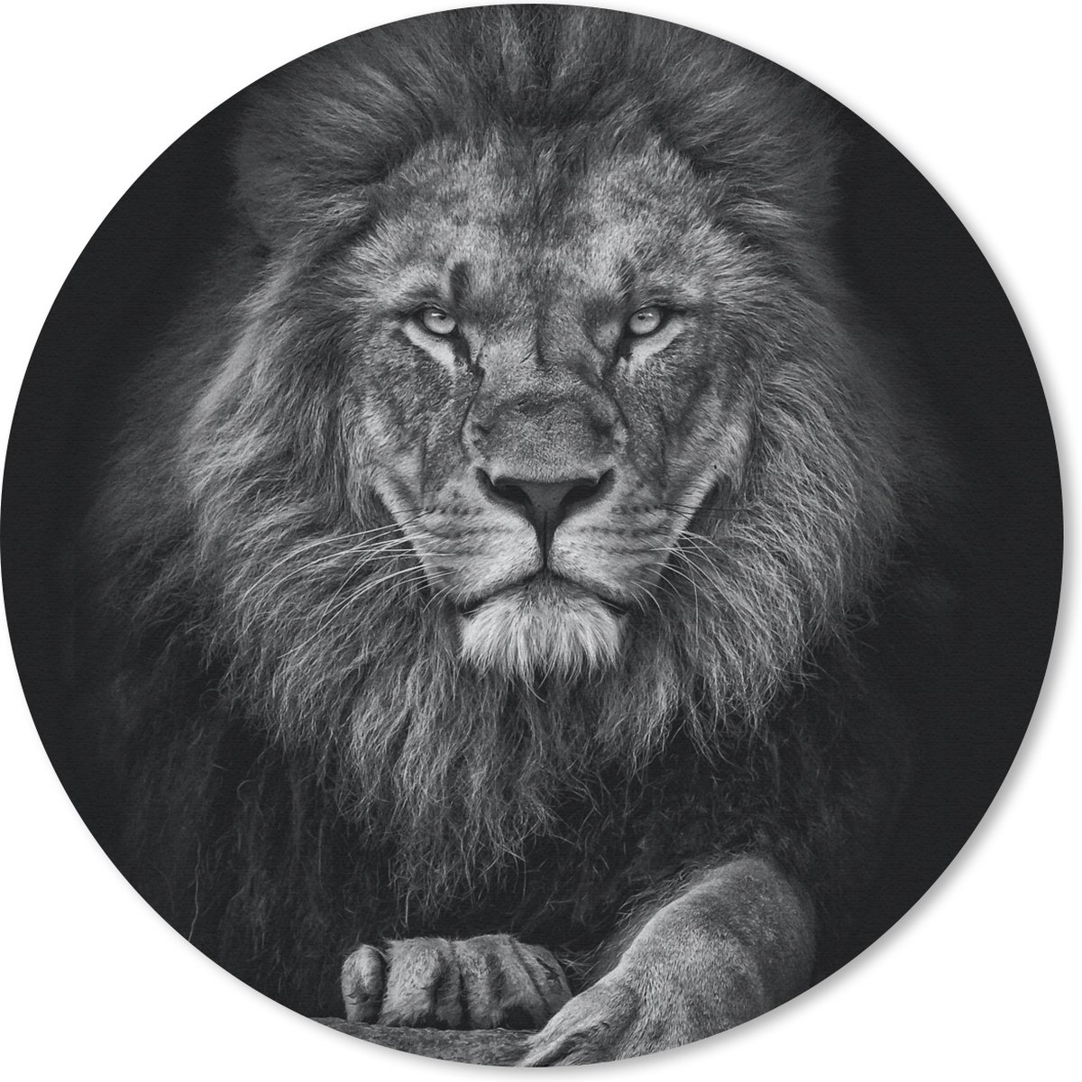 Muismat rond 30x30 cm - Mousepad Leeuw - Dieren - Zwart - Wit - Ronde muismatten