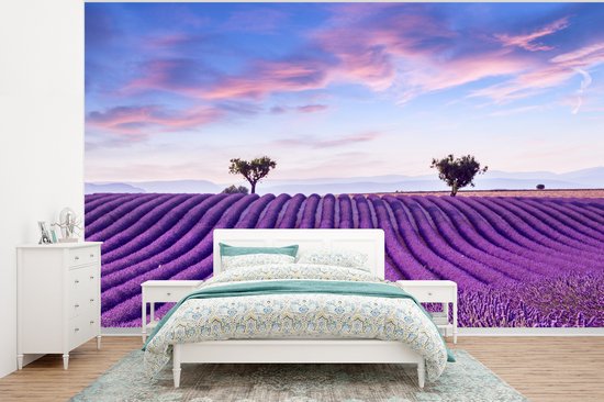 Behang - Fotobehang Lavendel - Natuur - Paars - Bomen - Bloemen - Breedte 350 cm x hoogte 260 cm