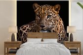 Behang - Fotobehang Wilde dieren - Panter - Portret - Zwart - Dieren - Breedte 240 cm x hoogte 240 cm