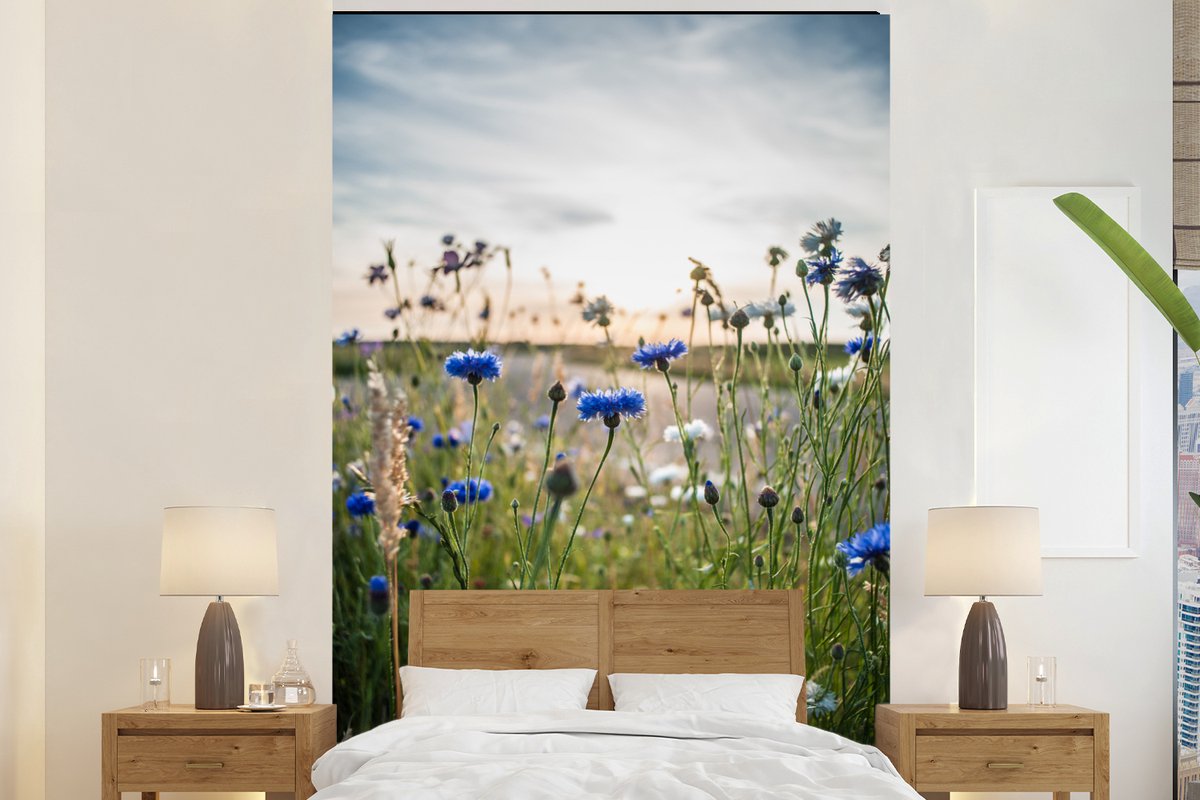 Behang - Fotobehang Bloemen - Zomer - Korenbloem - Blauw - Zon - Wolken - Breedte 170 cm x hoogte 260 cm