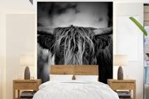 Behang - Fotobehang Schotse hooglander - Licht - Portret - Natuur - Breedte 195 cm x hoogte 260 cm