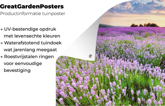Een tuinposter van een paarse lavendelweide bij zonsondergang, met tekst over UV-bestendigheid en roestvrijstalen ringen.