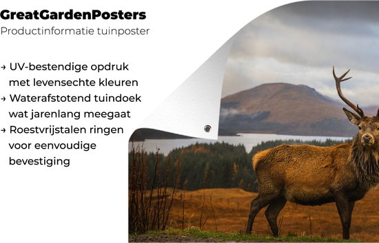 Décoration murale Cerf - Berg - Water - Paysage - Animaux - Arbres - 180x120 cm - Poster jardin - Toile jardin - Poster extérieur
