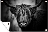 Muurdecoratie Schotse hooglander - Licht - Portret - Natuur - 180x120 cm - Tuinposter - Tuindoek - Buitenposter
