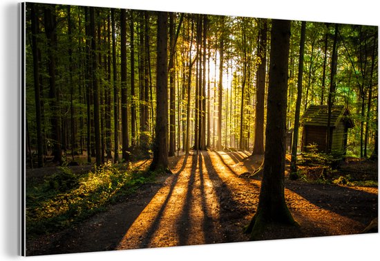 Wanddecoratie Metaal - Aluminium Schilderij Industrieel - Zon - Bomen - Bos - Landschap - Natuur - 120x60 cm - Dibond - Foto op aluminium - Industriële muurdecoratie - Voor de woonkamer/slaapkamer