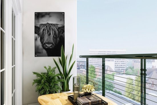 Décoration de jardin Highlander écossais - Lumière - Portrait - Nature - 40x60 cm - Poster jardin - Toile jardin - Poster extérieur
