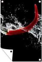 Décoration murale Piment - Nature morte - Water - Zwart - Rouge - 120x180 cm - Poster jardin - Toile jardin - Poster extérieur